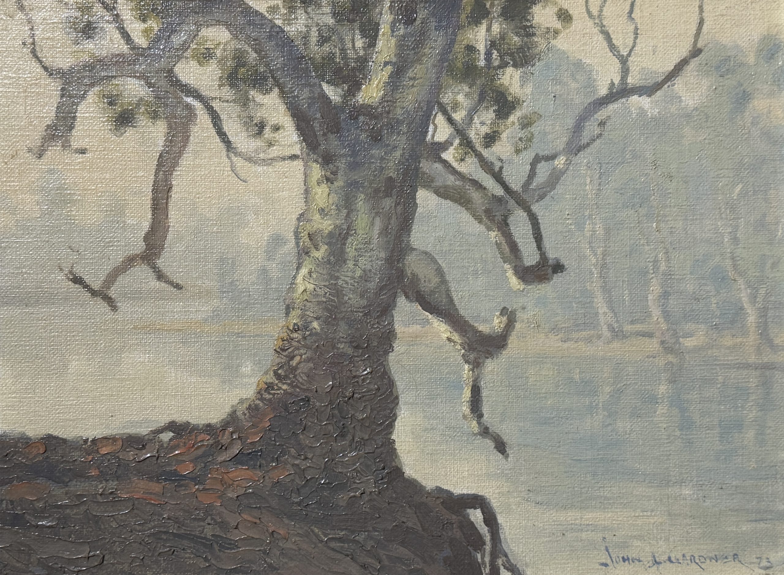 Misty Murray River 1973