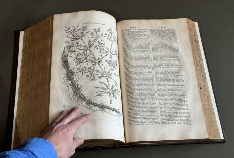 The Gardener’s Dictionary, 1768 – Massive, and still useful!