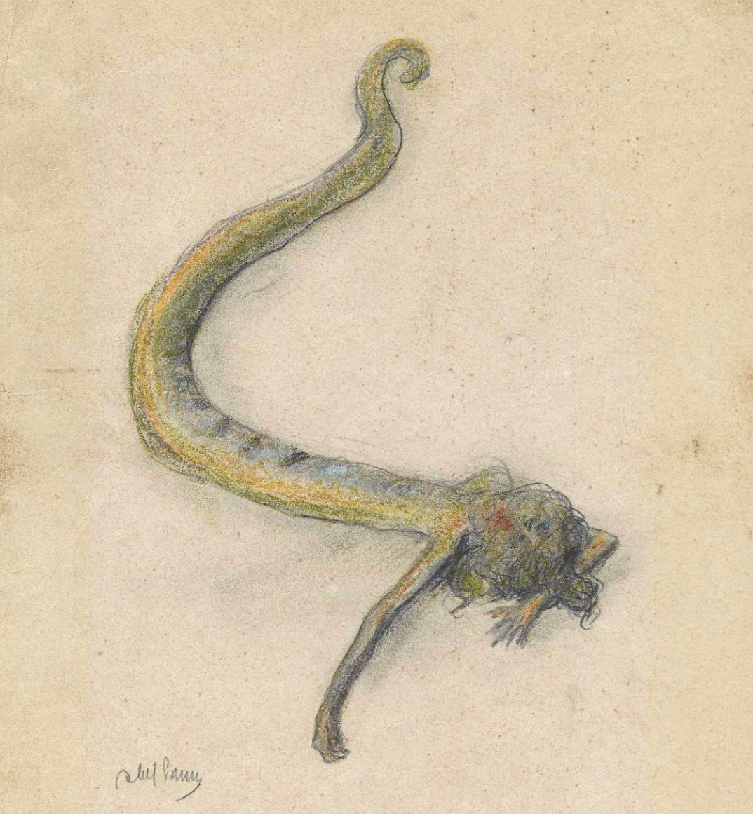 Abel Pann — serpent detail