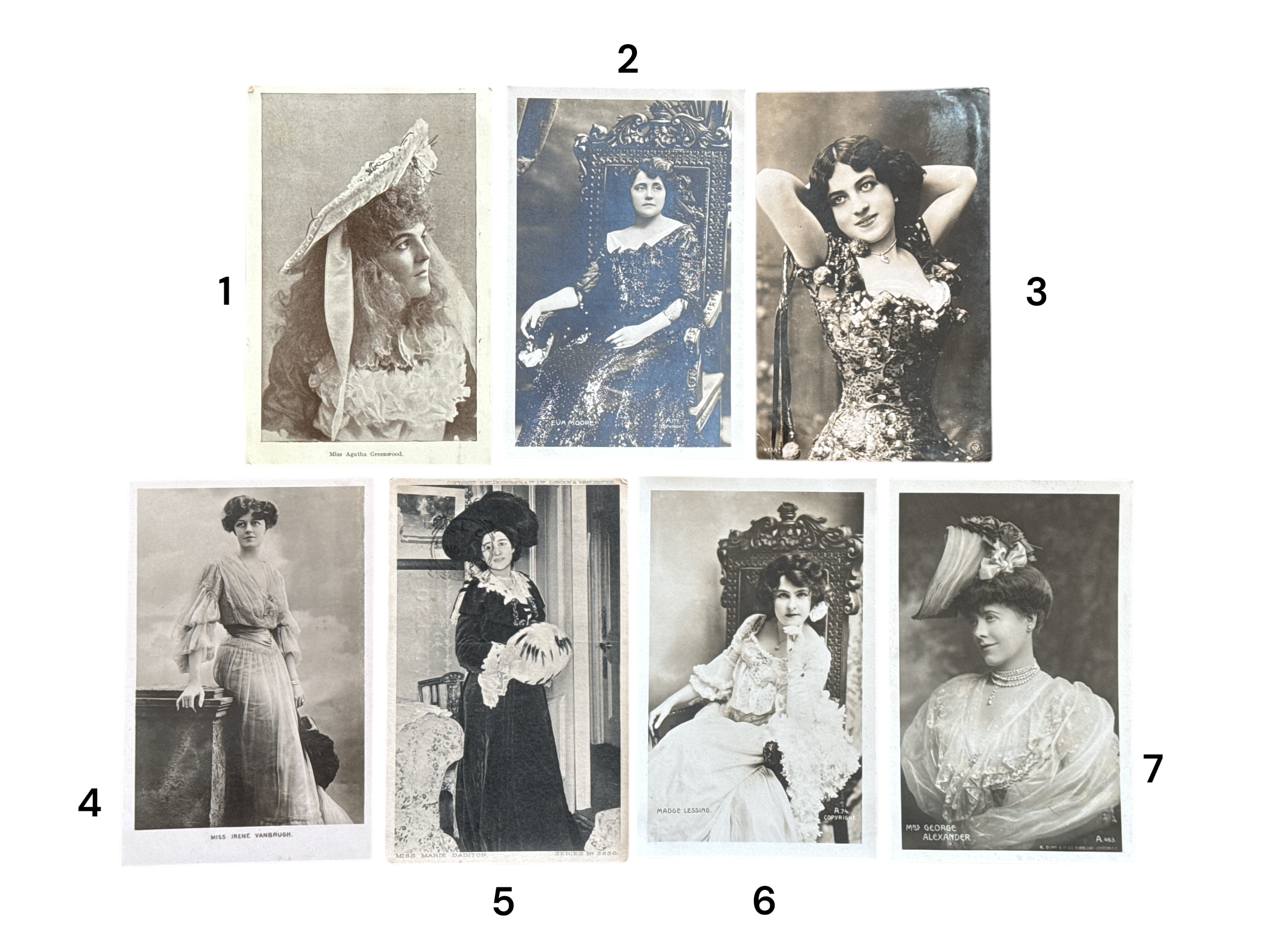 Edwardian signed portraits — full group display